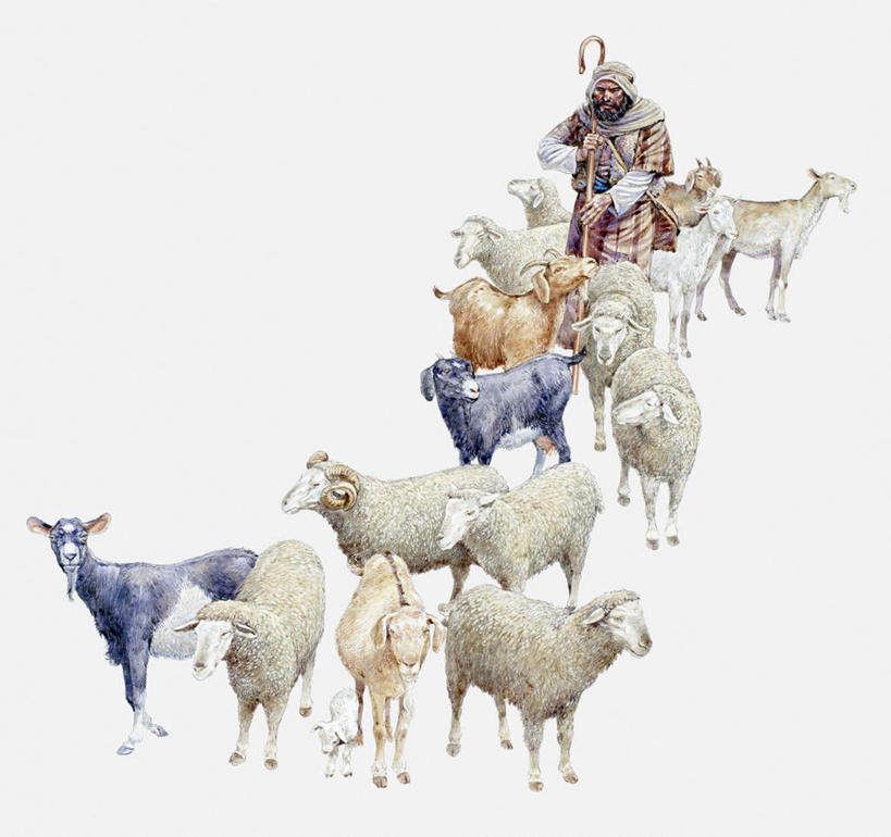 西方人,一个人,无人,站,举,横图,室内,白天,白色背景,正面,民族服装,绘画,羊,欧洲,非洲,黑人,欧洲人,仅一个男性,仅一个人,仅一个中年男性,许多,握,艺术,工具,古典,拿,牧羊人,拿着,文化,动物,工艺品,品味,托,站着,器械,家畜,握着,牲畜,拐杖,手杖,美术,水彩,水彩画,高雅,医疗器械,美学,辅助设备,男人,男性,中年男性,非洲人,绵羊,举起,举手,举着,向上举,向上伸,向上托,站立,彩图,全身,传统服装,民俗服