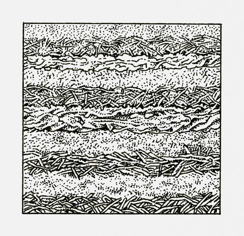 无人,横图,黑白,插画,室内,特写,白天,白色背景,正面,数码,科技,阴影,网络,纹路,纹理,线条,泥土,土壤,层次,高光,几何,计算机图形,合成,图画,画,电脑合成图,数码合成图,合成图,漫画,肌理,写实,具体,具象