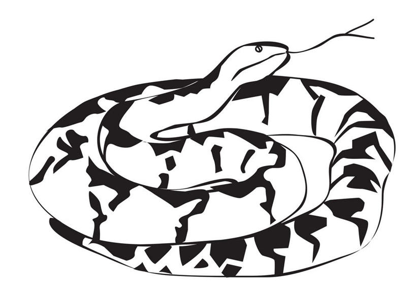 无人,横图,俯视,黑白,插画,室内,白天,白色背景,数码,科技,野生动物