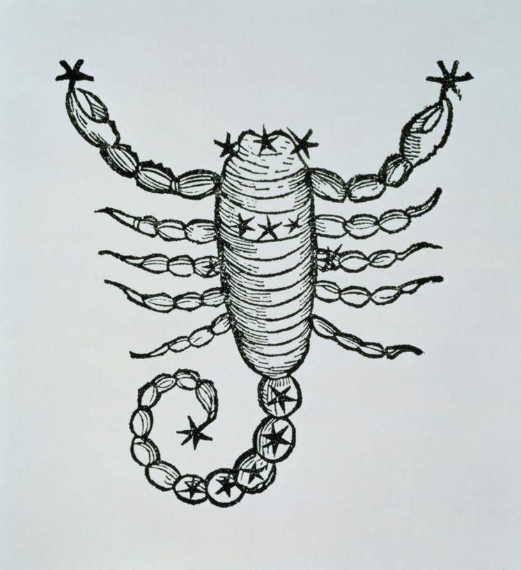 无人,站,竖图,黑白,插画,室内,白天,白色背景,正面,神秘,数码,科技,阴影,网络,高光,几何,计算机图形,合成,图画,注视,画,一只,动物,观察,看,站着,安静,星座,观看,电脑合成图,数码合成图,察看,准确,有毒,关注,占卜,节肢动物,蝎子,漫画,写实,具体,具象,孤傲,天蝎座,直觉,节足动物,站立,全身