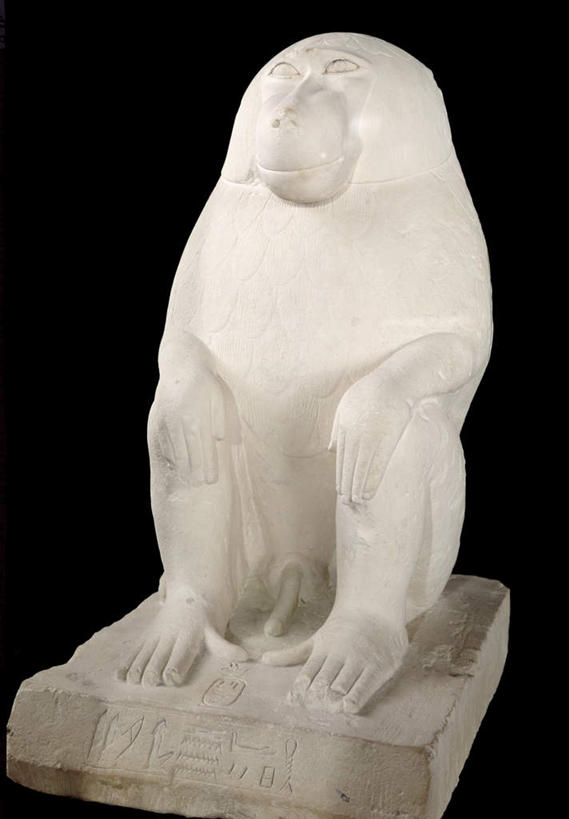 无人,竖图,室内,特写,白天,正面,哺乳动物,野生动物,静物,雕塑,阴影,艺术,装饰,光线,狒狒,雕刻,雕像,影子,白色,动物,工艺品,摄影,活泼,影棚,纪念,美术,主题,陈列,一尊,功能,美学,彩图,全身,影棚拍摄,拍摄