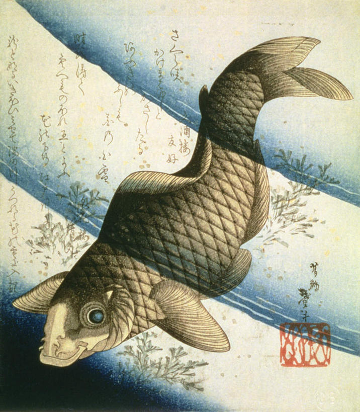 无人,竖图,室内,白天,正面,绘画,幸福,纯洁,樱花,鲤鱼,油画,一条,艺术,盛开,鱼,古典,花蕾,文化,鱼类,花,花瓣,花朵,鲜花,工艺品,花苞,花蕊,品味,等待,美术,吉祥,高雅,生命,美学,仙樱花,福岛樱,青肤樱,高尚,年年有余,热烈,美梦成真,事业有成,鲤子,鲤拐子,荆桃,彩图,全身
