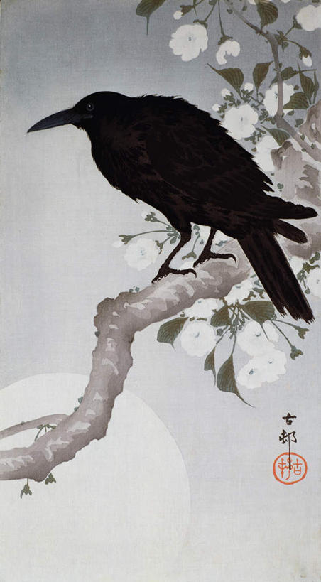 无人,站,竖图,室内,白天,侧面,绘画,植物,鸟,野生动物,艺术,盛开,鸟类,枝条,古典,花蕾,注视,文化,画,花,花瓣,花朵,鲜花,树,树木,树枝,一只,黑色,动物,工艺品,花苞,花蕊,观察,看,品味,站着,观看,乌鸦,美术,死亡,吉祥,察看,高雅,关注,美学,不祥,楚乌,老鸹,厄运,虬枝,枝杈,恐惧,站立,彩图,全身