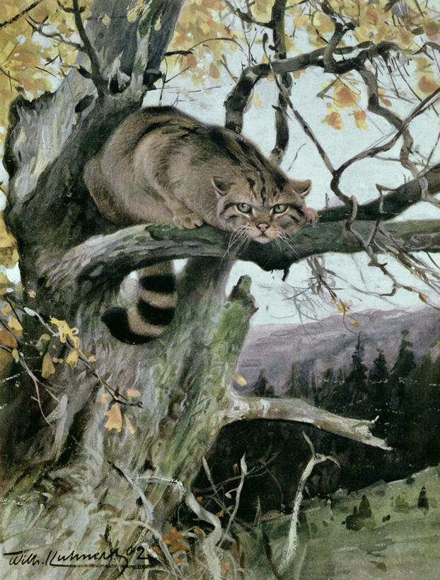 无人,竖图,室内,白天,正面,绘画,植物,猫,野生动物,叶子,油画,艺术,绿叶,枝条,古典,注视,文化,树,树木,树枝,一只,蓝色,蓝天,天空,动物,工艺品,天,观察,看,趴着,品味,嫩叶,晴朗,观看,美术,察看,高雅,关注,野猫,凶猛,万里无云,美学,虬枝,枝杈,斑猫,草原斑猫,残暴,凶残,叶,叶片,晴空,晴空万里,趴,彩图,全身