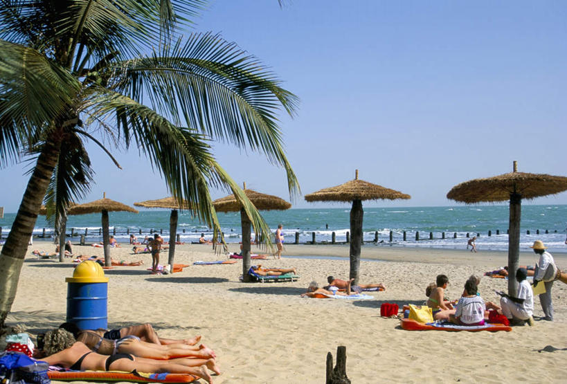 西方人,站,坐,躺,横图,室外,白天,正面,旅游,度假,海浪,海洋,美景,沙滩,植物,棕榈树,叶子,欧洲,非洲,冈比亚,黑人,欧洲人,一排,阴影,服装,整齐,光线,伞,沙子,影子,雨伞,遮阳伞,海岸,景观,浪花,水平线,辽阔,绿叶,海平线,沙地,许多人,注视,休闲装,娱乐,阳伞,树,树木,排列,衣服,蓝色,绿色,蓝天,天空,阳光,自然,海水,天,观察,看,站着,一群人,享受,休闲,广阔,休闲服,嫩叶,景色,放松,服饰,生长,晴朗,成长,观看,一望无际,察看,队列,关注,自然风光,海景,棕榈叶,万里无云,阿非利加洲,西非,无边无际,一马平川,冈比亚共和国,卧着,男人,男性,女人,女性,中年男性,中年女性,非洲人,叶,叶片,大海,风浪,海,海水的波动,海滩,近岸浪,涌浪,晴空,晴空万里,躺着,卧,站立,坐着,彩图,全身,水天相接,水天一线