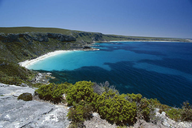 无人,横图,室外,白天,正面,旅游,度假,岛屿,海浪,海洋,石头,美景,沙滩,植物,澳大利亚,阴影,光线,沙子,石子,影子,岛,海岸,景观,浪花,沙地,娱乐,树,树木,蓝色,绿色,蓝天,天空,阳光,自然,海水,天,享受,休闲,景色,放松,生长,晴朗,成长,自然风光,大洋洲,澳洲,海景,万里无云,南方大陆,澳大利亚联邦,袋鼠岛,坎加鲁岛,大海,风浪,海,海水的波动,海滩,近岸浪,列岛,群岛,石块,岩石,涌浪,诸岛,晴空,晴空万里,彩图