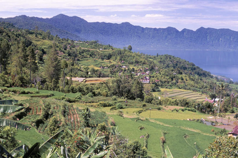 无人,家,农田,横图,室外,白天,正面,旅游,度假,庄稼,梯田,农作物,草地,草坪,海浪,海洋,火山,石头,美景,山,山脉,植物,印度尼西亚,印尼,亚洲,阴影,曲折,弯曲,光线,石子,影子,房屋,屋子,景观,浪花,山峰,云,云朵,山峦,云彩,娱乐,楼房,住宅,草,树,树木,蓝色,绿色,白云,蓝天,天空,阳光,自然,海水,群山,天,享受,休闲,景色,放松,东南亚,蜿蜒,生长,晴朗,成长,自然风光,苏门答腊,海景,沉积岩,印度尼西亚共和国,苏门答腊岛,水成岩,大海,风浪,海,海水的波动,活火山,近岸浪,石块,死火山,休眠火山,岩石,涌浪,晴空,彩图,耕地,庄稼田,房子