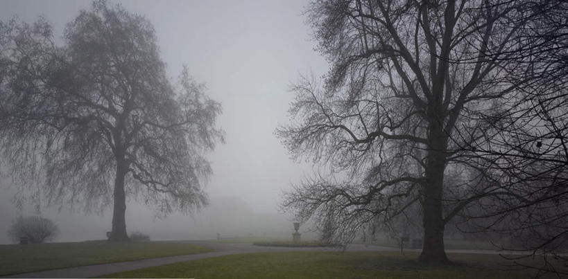 无人,家,横图,室外,白天,正面,旅游,度假,草地,草坪,美景,植物,雾,别墅,道路,路,英国,欧洲,朦胧,模糊,房屋,屋子,景观,公寓,小路,交通,娱乐,洋房,楼房,英格兰,住宅,草,树,树木,绿色,自然,享受,休闲,景色,放松,生长,成长,迷雾,西欧,自然风光,大不列颠,大不列颠及北爱尔兰联合王国,大不列颠联合王国,日不落英帝国,英吉利,大伦敦,大雾,彩图,房子