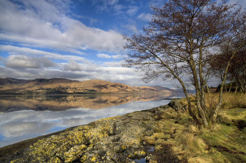 无人,横图,室外,白天,仰视,旅游,度假,草地,草坪,湖,湖泊,美景,水,植物,英国,欧洲,阴影,波纹,光线,影子,湖面,景观,水流,水面,云,云朵,涟漪,云彩,娱乐,苏格兰,草,树,树木,蓝色,绿色,白云,倒影,蓝天,水纹,天空,阳光,自然,波浪,湖水,天,享受,休闲,景色,放松,生长,晴朗,成长,倒映,西欧,自然风光,大不列颠,大不列颠及北爱尔兰联合王国,水晕,大不列颠联合王国,日不落英帝国,苏格兰王国,反照,威廉堡,晴空,彩图,低角度拍摄