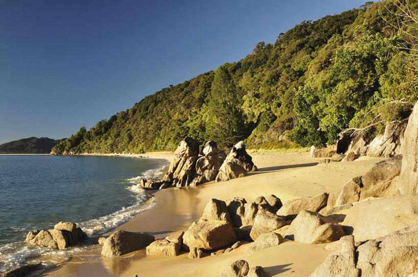 无人,公园,横图,室外,白天,正面,旅游,度假,海浪,海洋,石头,美景,沙滩,树林,植物,新西兰,阴影,光线,沙子,石子,影子,海岸,景观,浪花,沙地,娱乐,树,树木,蓝色,绿色,蓝天,天空,阳光,自然,海水,天,享受,休闲,景色,放松,生长,晴朗,成长,国家公园,自然风光,大洋洲,海景,万里无云,纽西兰,长白云之乡,阿贝尔.塔斯曼国家公园,艾贝尔塔斯曼国家公园,新西兰南岛,亚伯塔斯曼国家公园,大海,风浪,海,海水的波动,海滩,近岸浪,石块,岩石,涌浪,晴空,晴空万里,彩图