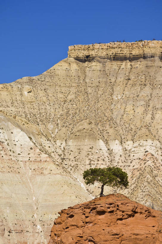无人,竖图,室外,白天,正面,旅游,度假,石头,美景,沙漠,山,山脉,植物,美国,阴影,光线,沙子,石子,影子,景观,山顶,山峰,山峦,娱乐,树,树木,蓝色,绿色,蓝天,天空,阳光,自然,群山,天,享受,休闲,景色,放松,生长,晴朗,成长,北美,北美洲,犹他州,自然风光,美洲,沉积岩,万里无云,北亚美利加洲,亚美利加洲,犹他,蜂窝之州,蜂房州,颠峰,极峰,水成岩,大阶梯国家纪念碑,大楼梯国家纪念碑,大漠,砂漠,石块,岩石,晴空,晴空万里,彩图