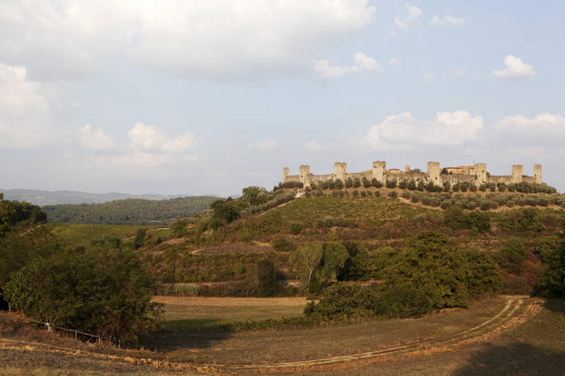 无人,横图,室外,白天,正面,旅游,度假,草地,草坪,美景,植物,意大利,欧洲,阴影,光线,影子,堡垒,城堡,景观,云,云朵,云彩,娱乐,草,蓝色,绿色,白云,蓝天,天空,阳光,自然,天,享受,休闲,景色,放松,晴朗,托斯卡纳,要塞,南欧,自然风光,意大利共和国,托斯卡纳大区,设防,蒙塔奇诺,晴空,彩图