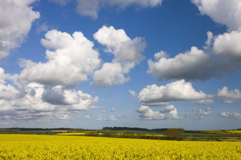 无人,横图,室外,白天,正面,旅游,度假,美景,英国,欧洲,阴影,光线,影子,景观,娱乐,阳光,自然,享受,休闲,景色,放松,西欧,自然风光,大不列颠,大不列颠及北爱尔兰联合王国,大不列颠联合王国,日不落英帝国,德文郡,彩图