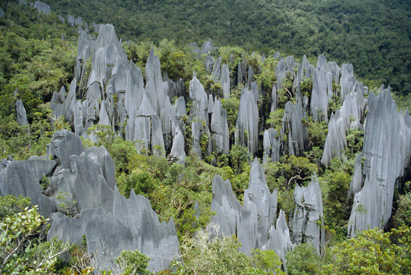 无人,公园,横图,俯视,室外,白天,旅游,度假,石头,美景,森林,山,山脉,树林,植物,马来西亚,亚洲,阴影,光线,石子,影子,景观,山顶,山峰,山峦,娱乐,树,树木,绿色,阳光,自然,群山,享受,休闲,景色,放松,东南亚,生长,成长,国家公园,自然风光,沉积岩,婆罗洲,加里曼丹岛,婆罗洲岛,颠峰,极峰,马来西亚联邦,水成岩,沙捞越,砂拉越州,姆鲁国家公园,姆鲁山国家公园,姆禄国家公园,石块,岩石,彩图,高角度拍摄