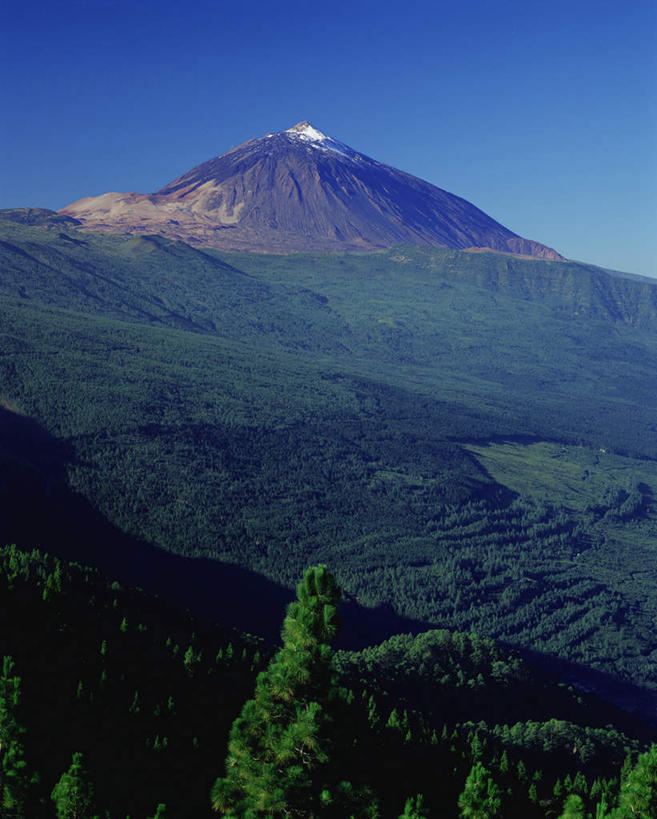 无人,公园,竖图,室外,白天,正面,旅游,度假,火山,美景,森林,山,山脉,树林,植物,西班牙,欧洲,阴影,光线,影子,景观,山峰,山峦,娱乐,树,树木,蓝色,绿色,蓝天,天空,阳光,自然,群山,天,享受,休闲,景色,放松,生长,晴朗,成长,国家公园,加纳利群岛,南欧,自然风光,加那利群岛,万里无云,西班牙王国,特内里费岛,泰德国家公园,活火山,死火山,休眠火山,晴空,晴空万里,彩图