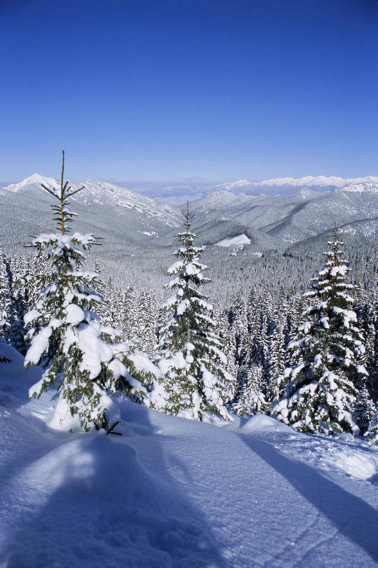 无人,竖图,俯视,室外,白天,旅游,度假,美景,山,雪,雪山,大雪,松树,欧洲,斯洛伐克,阴影,朦胧,模糊,光线,影子,冰,积雪,景观,山峰,雪景,冬季,冬天,山峦,娱乐,蓝色,蓝天,天空,阳光,自然,天,享受,休闲,景色,放松,寒冷,晴朗,冰冷,自然风光,坚定,中欧,万里无云,长寿,严寒,冰凉,酷寒,凛冽,凛凛,贞洁,极冷,斯洛伐克共和国,晴空,晴空万里,彩图,高角度拍摄