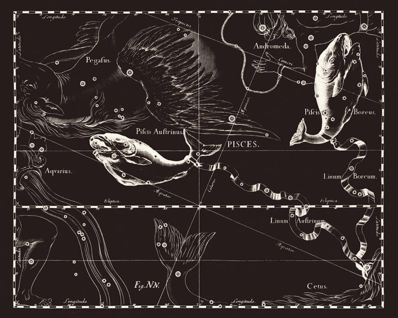 无人,横图,黑白,地图,科学,星星,摄影,星座,手艺,天文学,双鱼座,拉丁文,雕刻术