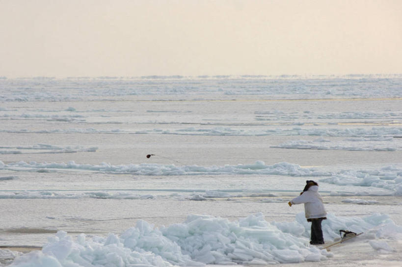 成年人,中年人,一个人,横图,室外,北极,全球变暖,美国,仅一个男性,仅一个人,仅一个中年男性,捕食,冰,食品,自然,浮冰,摄影,气象,环境,吊钩,气候,因纽特人,男人,男性,中年男性,彩图,传统文化,环斑海豹,冰架