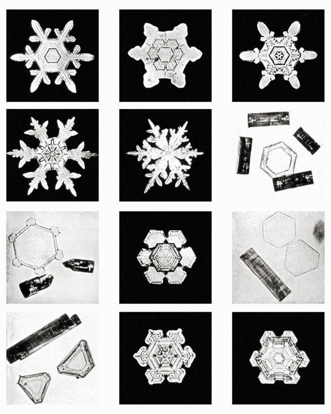 无人,竖图,黑白,微距,美国,标志,格子,六边形,数字,文字,字符,冰,雪花,标识,冰晶,摄影,阿拉伯数字,北美,北美洲,美洲,佛蒙特州,佛蒙特,绿岭之州,北亚美利加洲,亚美利加洲,美利坚合众国,耶利哥