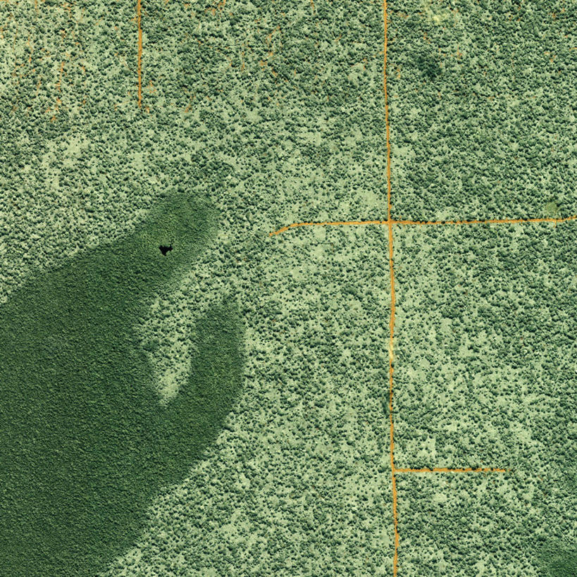 无人,方图,室外,森林,路,环保,树,摄影,能源,环境,回收,资源,利用,低碳,循环,持续,彩图,林区