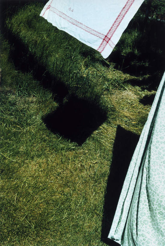 无人,竖图,室外,特写,白天,正面,草地,草坪,植物,吊挂,悬挂,阴影,服装,飘扬,光线,纺织物,影子,挂,草,衣服,绿色,阳光,毛巾,清洁,服饰,飘逸,保暖,衣着,穿着,飞扬,透气,防水,衣饰,储水,耐磨,吸水,彩图