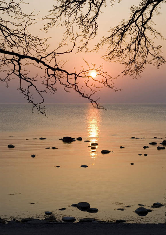 无人,竖图,俯视,室外,白天,海浪,海洋,石头,美景,日落,沙滩,太阳,植物