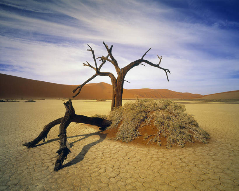 西方人,无人,横图,室外,白天,正面,旅游,度假,荒凉,石头,美景,沙漠,山,山脉,植物,欧洲,非洲,黑人,欧洲人,阴影,光线,石子,影子,景观,山峰,云,云朵,枝条,山峦,云彩,娱乐,树,树木,树枝,蓝色,白云,蓝天,天空,阳光,自然,群山,天,享受,休闲,陡峭,景色,放松,晴朗,炎热,腐蚀,侵蚀,干旱,自然风光,笔陡,峻峭,酷热,燥热,虬枝,枝杈,非洲人,大漠,荒地,荒芜,砂漠,石块,岩石,晴空,彩图