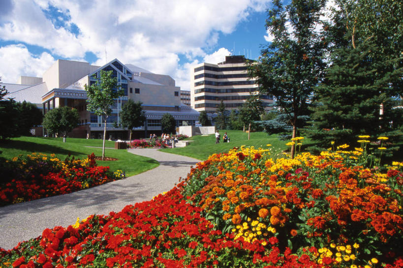 无人,横图,室外,白天,正面,旅游,度假,草地,草坪,美景,植物,建筑,叶子,美国,许多,阴影,盛开,鲜艳,光线,影子,景观,云,云朵,绿叶,美丽,花蕾,云彩,漂亮,娱乐,草,花,花瓣,花朵,鲜花,树,树木,黄色,红色,蓝色,绿色,白云,蓝天,天空,阳光,自然,天,花苞,花蕊,享受,休闲,橙色,嫩叶,景色,放松,创意,生长,成长,北美,优美,北美洲,自然风光,美洲,摩登,艳丽,修建,创新,阿拉斯加,阿拉斯加州,安克雷奇,北亚美利加洲,亚美利加洲,新意,修筑,最后的边疆,午夜阳光之地,斑斓,标致,瑰丽,娇艳,锦绣,娟秀,俊丽,奇丽,俏丽,时兴,秀丽,自治市,叶,叶片,彩图