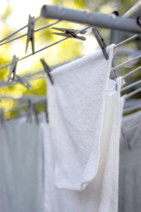 无人,竖图,室外,特写,白天,仰视,植物,吊挂,悬挂,阴影,不锈钢,朦胧,模糊,光线,不锈钢制品,纺织物,影子,挂,树,树木,绿色,白色,阳光,自然,夹子,晾衣绳,绳子,毛巾,清洁,生长,成长,保暖,衣夹,透气,防水,储水,耐磨,吸水,彩图,低角度拍摄