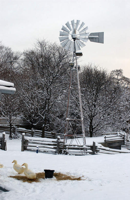 无人,家,栏杆,站,走,竖图,室外,白天,正面,农业,风力发电机,雪,植物,大雪,鹅,风车,阴影,环保,电力,光线,影子,栅栏,房屋,屋子,积雪,篱笆,雪景,冬季,冬天,围栏,注视,设备,护栏,楼房,家禽,住宅,树,树木,蓝色,绿色,蓝天,天空,阳光,自然,动物,天,观察,看,站着,两只,发电,机械,寒冷,工业,牲畜,生长,能源,晴朗,成长,观看,资源,察看,风力机,关注,利用,低碳,万里无云,严寒,风力发电,晴空,晴空万里,步行,散步,站立,走路,彩图,全身,房子