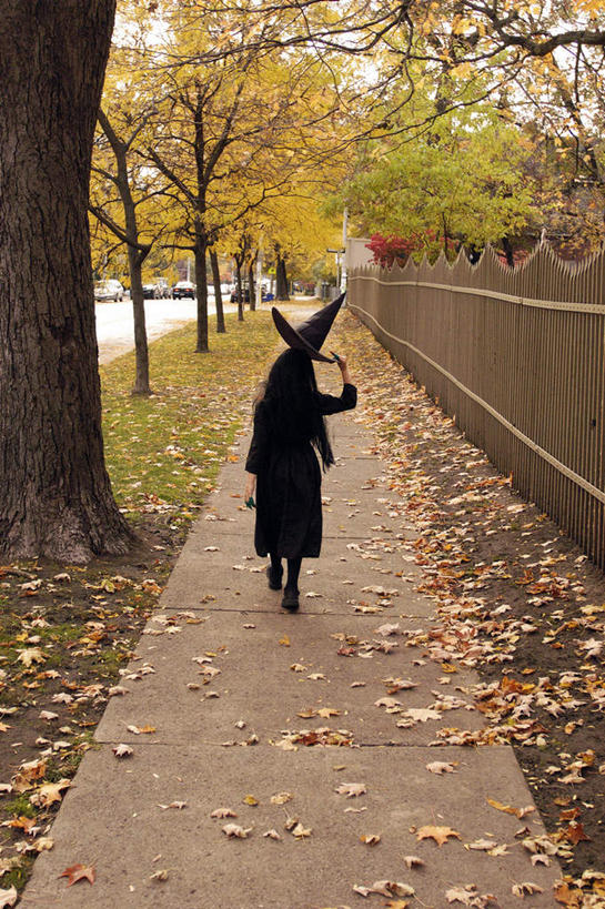 西方人,儿童,一个人,栏杆,走,竖图,室外,白天,草地,草坪,植物,帽子,叶子,欧洲,欧洲人,仅一个女性,仅一个人,一排,阴影,整齐,光线,影子,栅栏,篱笆,围栏,枯叶,落叶,护栏,草,树,树木,排列,小孩,背面,蓝色,绿色,蓝天,天空,阳光,自然,天,仅一个小孩,生长,晴朗,成长,队列,万里无云,巫师帽,女孩,女人,女性,白种人,孩子,叶,叶片,晴空,晴空万里,步行,散步,走路,彩图,全身,女生