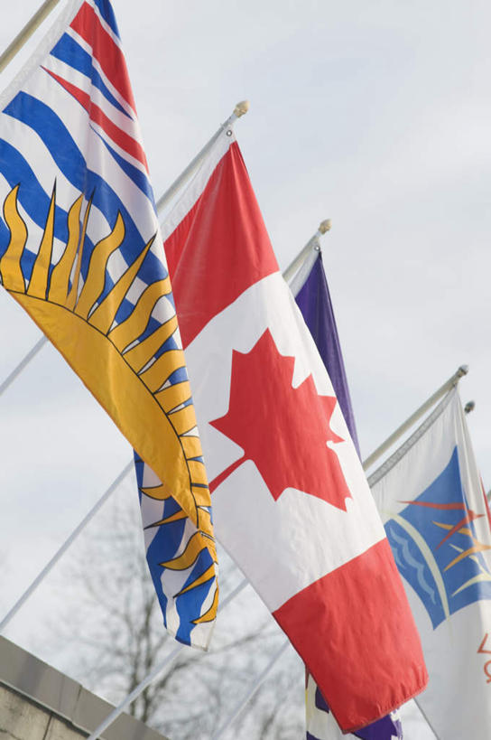 无人,竖图,室外,白天,仰视,旗帜,国旗,加拿大,一排,阴影,整齐,光线,影子,排列,蓝色,蓝天,天空,阳光,天,晴朗,北美,北美洲,队列,美洲,万里无云,北亚美利加洲,亚美利加洲,卑诗省,不列颠哥伦比亚,不列颠哥伦比亚省,温哥华,旗,晴空,晴空万里,彩图,低角度拍摄