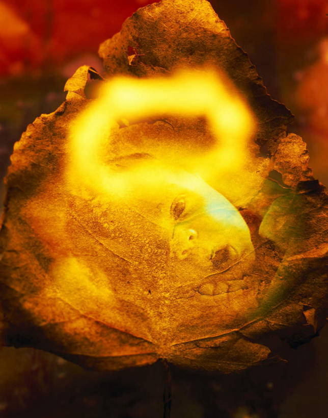 西方人,婴儿,儿童,一个人,无人,竖图,室内,白天,正面,纯洁,热情,数码,科技,秋季,火,叶子,欧洲,欧洲人,仅一个人,阴影,朦胧,模糊,光线,网络,火焰,影子,高光,几何,计算机图形,燃烧,合成,小孩,黄色,红色,阳光,橙色,可爱,活泼,死亡,电脑合成图,数码合成图,宝宝,纯真,烂漫,无邪,写实,具体,具象,殒命,灭亡,伶俐,天真,白种人,孩子,叶,叶片,秋,秋天,半身,彩图