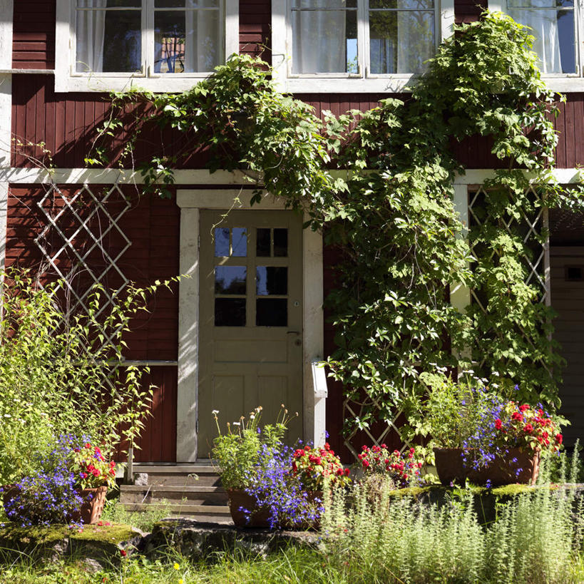 无人,家,竖图,室外,白天,正面,旅游,度假,美景,植物,窗户,楼梯,叶子,阴影,新鲜,盛开,光线,盆栽,影子,房屋,阶梯,屋子,景观,绿叶,盆景,花蕾,娱乐,楼房,玻璃窗,台阶,住宅,花,花瓣,花朵,鲜花,绿色,阳光,自然,把手,门把手,花苞,花蕊,享受,休闲,嫩叶,景色,放松,生长,成长,青春,门把,生命,自然风光,和平,安详,冷色,叶,叶片,拉手,彩图,房子