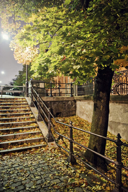 无人,家,栏杆,竖图,室外,夜晚,正面,旅游,度假,安全,植物,楼梯,叶子,阴影,平静,光线,扶手,影子,栅栏,房屋,阶梯,屋子,篱笆,围栏,枯叶,落叶,娱乐,护栏,楼房,台阶,住宅,树,树木,蓝色,绿色,风景,蓝天,天空,阳光,自然,天,享受,休闲,景色,放松,生长,晴朗,成长,风光,宁静,景物,和平,安详,万里无云,风物,光景,景致,太平,安适,安好,宁靖,叶,叶片,晴空,晴空万里,彩图,房子