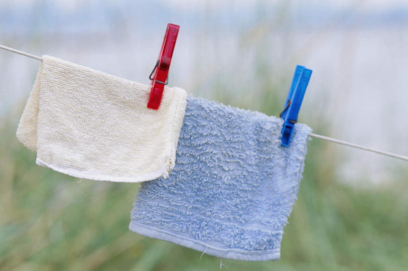 无人,横图,室外,特写,白天,正面,植物,衣架,两条,吊挂,晾晒,悬挂,朦胧,模糊,纺织物,挂,树,树木,红色,蓝色,绿色,白色,自然,毛巾,清洁,生长,成长,保暖,透气,防水,储水,耐磨,吸水,挂衣架,晾衣架,彩图