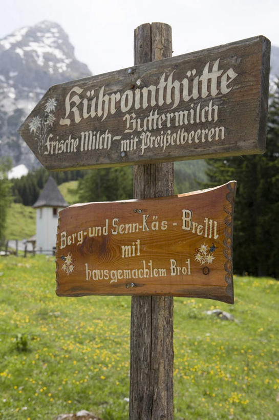 无人,家,竖图,室外,白天,正面,锻炼,度假,探险,运动,草地,草坪,石头,美景,森林,山,山脉,树林,植物,德国,欧洲,一块,阴影,光线,石子,影子,房屋,屋子,景观,山峰,云,云朵,山峦,云彩,娱乐,楼房,路牌,住宅,草,树,树木,蓝色,绿色,白云,蓝天,天空,阳光,自然,群山,天,享受,休闲,景色,放松,生长,成长,连绵,绵延,西欧,自然风光,德意志联邦共和国,巴伐利亚,巴伐利亚州,拜恩州,拜恩自由州,联贯,冒险,体育,石块,岩石,彩图,健身,房子