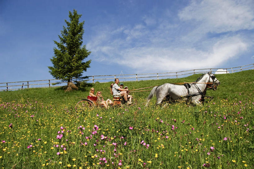 西方人,伙伴,朋友,花园,栏杆,坐,横图,室外,白天,仰视,度假,友谊,草地,草坪,花海,花圃,美景,植物,城市风光,城市,马,野生动物,叶子,德国,欧洲,欧洲人,阴影,服装,盛开,光线,影子,栅栏,景观,篱笆,云,云朵,围栏,马车,许多人,花蕾,云彩,注视,休闲装,娱乐,护栏,车,草,花,花瓣,花朵,花卉,鲜花,树,树木,衣服,蓝色,绿色,白云,蓝天,天空,阳光,自然,动物,交通工具,花丛,花束,花田,天,花苞,花蕊,观察,看,一群人,享受,休闲,休闲服,景色,放松,运输,服饰,牲畜,生长,晴朗,成长,观看,察看,飞奔,西欧,关注,载具,飞驰,德意志联邦共和国,巴伐利亚,巴伐利亚州,拜恩州,拜恩自由州,友情,男人,男性,年轻男性,年轻女性,女人,女性,白种人,晴空,小花园,坐着,半身,彩图,低角度拍摄
