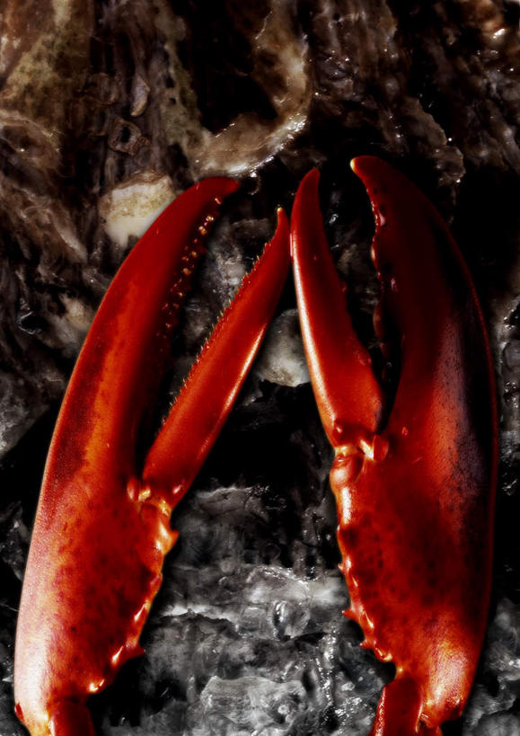 海鲜,龙虾,无人,竖图,俯视,室内,特写,白天,阴影,光线,影子,冰,虾,冰块,冷冻,水产,海洋生物,寒冷,冷藏,爪,冰冷,水生动物,海产品,水生物,海底动物,保鲜,彩图,高角度拍摄