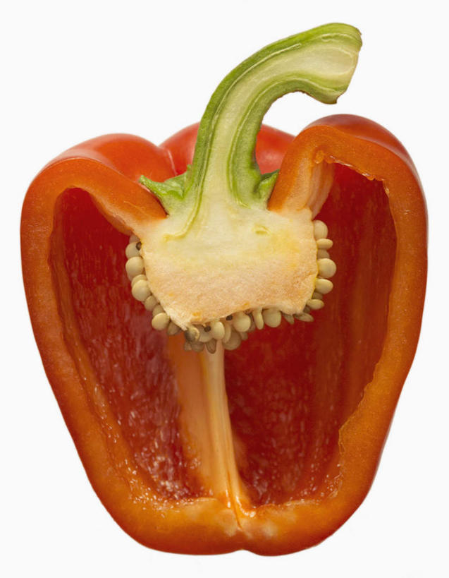 无人,竖图,室内,特写,白天,白色背景,正面,辣椒,蔬菜,切开,阴影,朦胧,模糊,新鲜,光线,影子,辣椒籽,调味,香料,佐料,食品,食物,一个,红色,切,摄影,有机食品,绿色食品,影棚,单个,配料,剖面,彩椒,切面,辣角,红海椒,大椒,辣虎,广椒,作料,甜椒,柿子椒,辣子,海椒,番椒,灯笼椒,彩图,影棚拍摄,拍摄