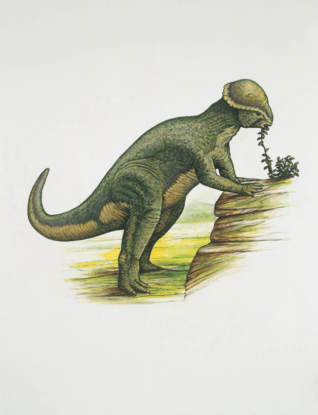 无人,站,吃,竖图,插画,室外,白天,侧面,数码,科技,植物,野生动物,阴影,科学,网络,高光,几何,计算机图形,合成,图像,图画,历史,画,动物,概念,生物,恐龙,考古学,电脑合成图,数码合成图,生物学,合成图,主题,漫画,视角,计算机制图,剑龙,写实,具体,具象,构图,侏罗纪,古代史,进化,地质学,史前时代,彩图,时空,动物学,白垩系,过去,古生物学,脊椎动物亚门