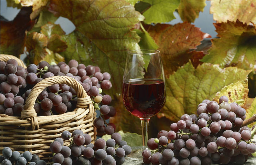 葡萄酒,无人,横图,室内,特写,葡萄,水果,叶子,透明,篮子,酒类,串,饮食,酒,饮料,红葡萄酒,摄影,葡萄酒杯,彩图,红葡萄