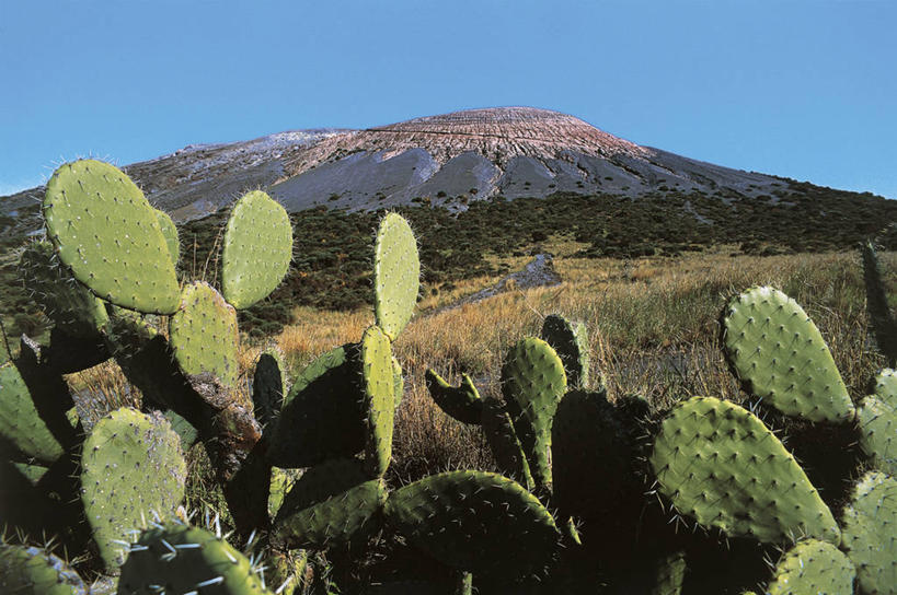 无人,横图,室外,白天,旅游,度假,美景,仙人掌,意大利,欧洲,锐利,岛,地形,景观,娱乐,天空,自然,享受,休闲,景色,放松,摄影,生长,锋利,尖锐,西西里,地中海文化,自然风光,意大利文化,梨果仙人掌,万里无云,伊奥利亚群岛,自然地理,彩图,肉质植物