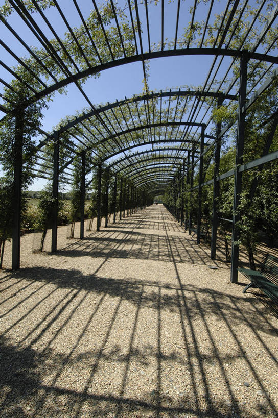 无人,竖图,室外,白天,消失点,建筑,意大利,拱门,历史,地标建筑,藤蔓,摄影,园林,南欧,透视图,意大利文化,藤蔓植物,皇室,彩图,联合国教科文组织