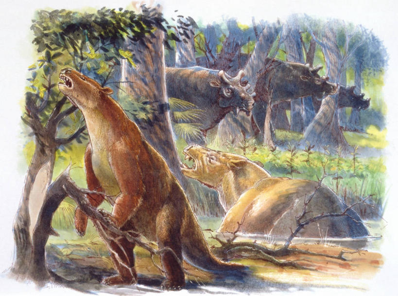 无人,横图,插画,室外,数码,科技,森林,哺乳动物,野生动物,四只,阴影,网络,高光,几何,计算机图形,合成,图画,历史,画,树干,自然,动物,环境,电脑合成图,数码合成图,合成图,嚎叫,漫画,写实,具体,具象,潘塔纳尔湿地,古代史,地质学,史前时代,彩图,过去,古生物学