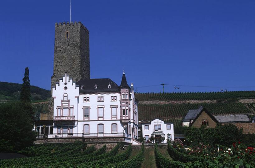 无人,横图,室外,白天,留白,旅游,度假,重复,农业,农作物,河流,美景,建筑,德国,一排,整齐,城堡,景观,田地,塔,历史,娱乐,葡萄园,树,排列,蓝色,风景,天空,自然,享受,休闲,景色,放松,摄影,队列,自然风光,德国文化,欧洲文化,中欧,万里无云,黑森州,莱茵河,吕德斯海姆,彩图,旅行,莱茵高