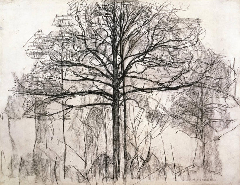 无人,横图,插画,室外,白天,旅游,度假,数码,科技,美景,阴影,网络,景观,枝,高光,几何,计算机图形,合成,图画,历史,娱乐,画,树,自然,享受,休闲,景色,放松,电脑合成图,数码合成图,合成图,自然风光,漫画,素描,写实,具体,具象,彩图