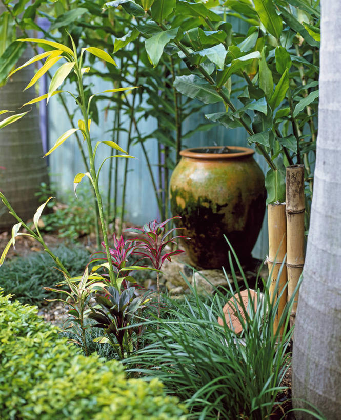 无人,竖图,室外,白天,美景,植物,叶子,花盆,英国,花坛,庭院,景观,英格兰,草,花,绿色,自然,容器,夏天,景色,摄影,多样,自然风光,观赏草,彩图,对焦