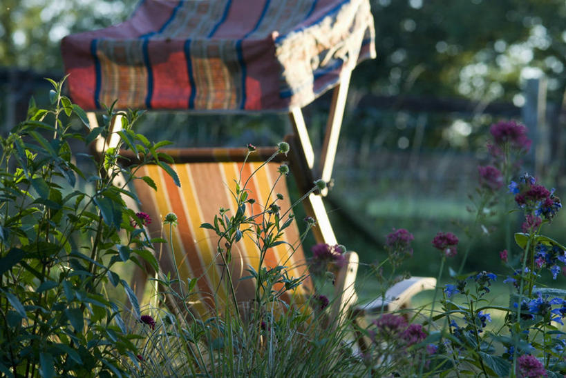 无人,横图,室外,白天,美景,植物,条纹,庭院,景观,地面,图像,帆布,花,自然,夏天,概念,金色,景色,季节,摄影,生活方式,沙滩椅,焦点,自然风光,主题,遮阳篷,构图,式样,彩图,时空
