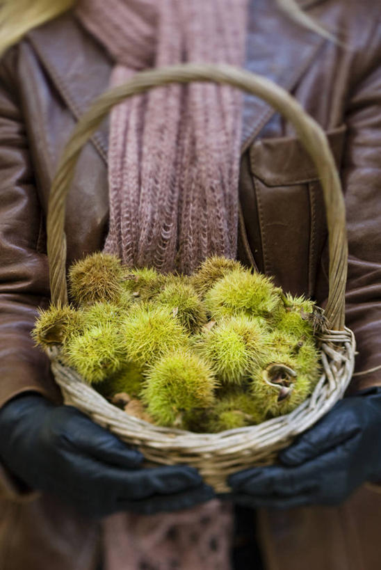 成年人,手,一个人,竖图,室外,特写,白天,留白,正面,安全,农业,农作物,美景,仅一个女性,朦胧,模糊,篮子,景观,园艺,栗子,生食,食品,坚果,防护,饮品,拿着,饮食,食物,饮料,自然,手套,围巾,景色,人体,摄影,生活方式,保护,锋利,尖锐,可口,清新,运送,荆棘,自然风光,保险,选择,收集,保全,周全,安稳,安定,防护手套,适口,平安,女人,秋天,彩图,对焦